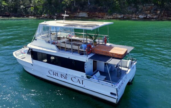 Cruise Cat