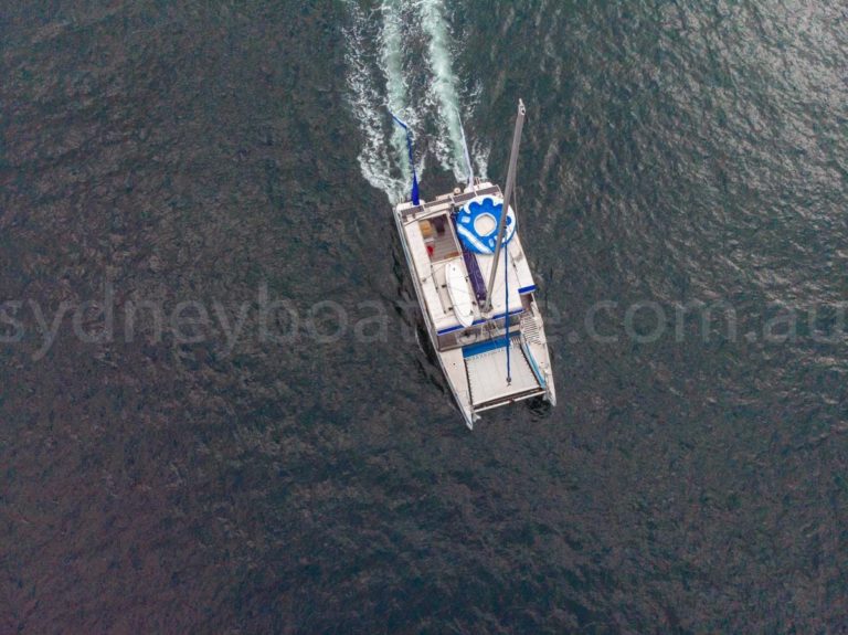 Sydney boat hire on harbourcat 4