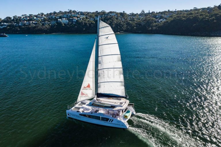 boat hire sydney on champagne sailing 20