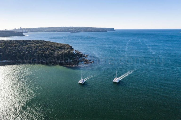 boat hire sydney on champagne sailing 9
