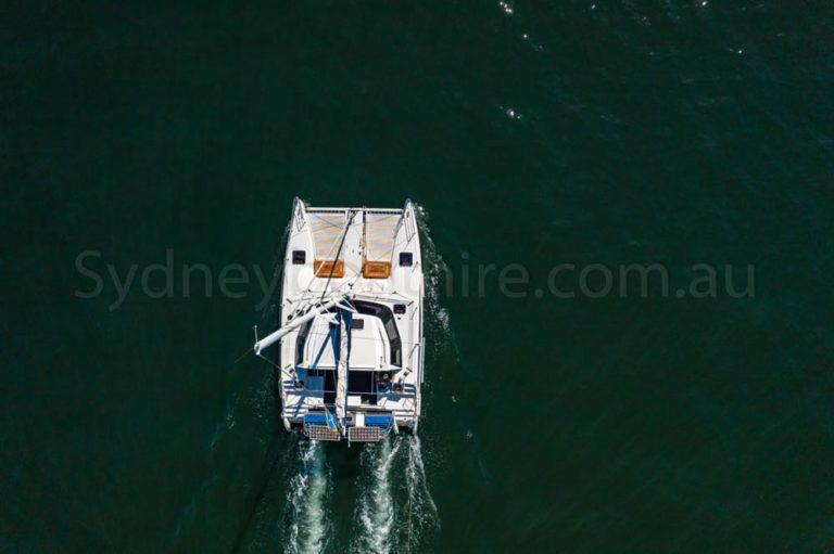 boat hire sydney on delphinus 1