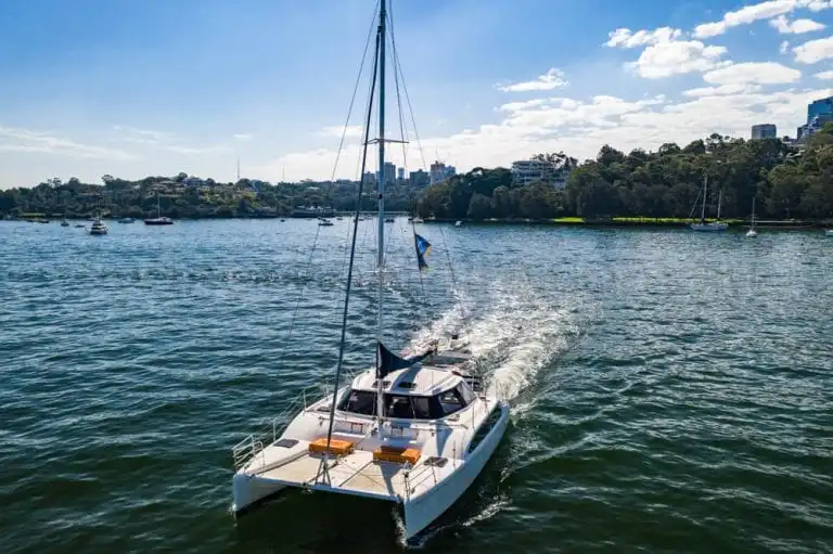 boat hire sydney on delphinus 8