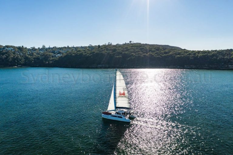 boat hire sydney on seascape 10