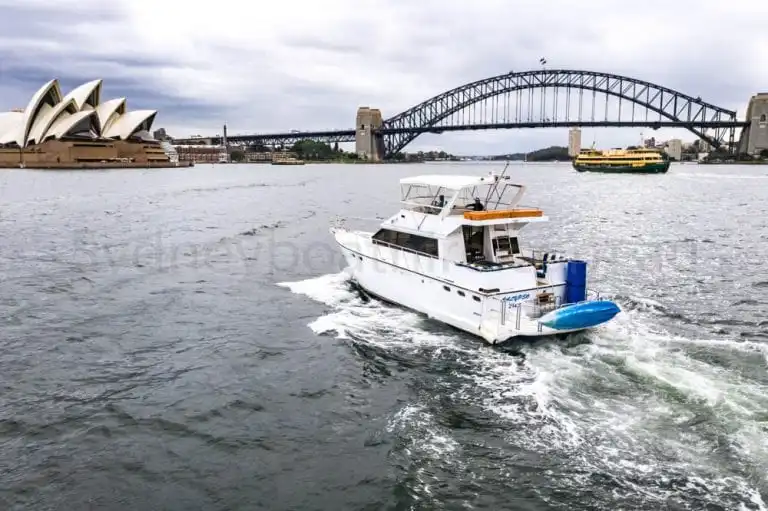 boat hire sydney on calypso 16
