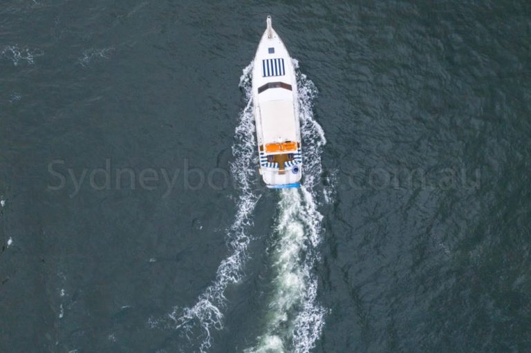 boat hire sydney on calypso 25