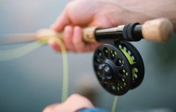 Take that fishing day you deserve