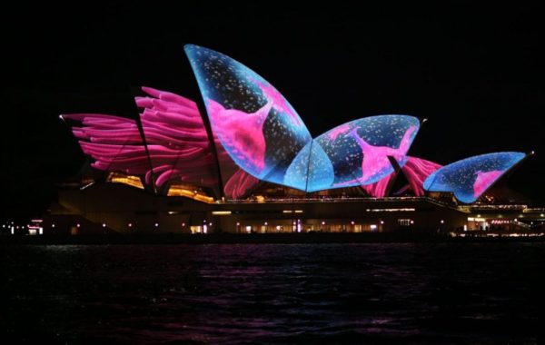 View spectacular scenery from the water on Vivid Sydney