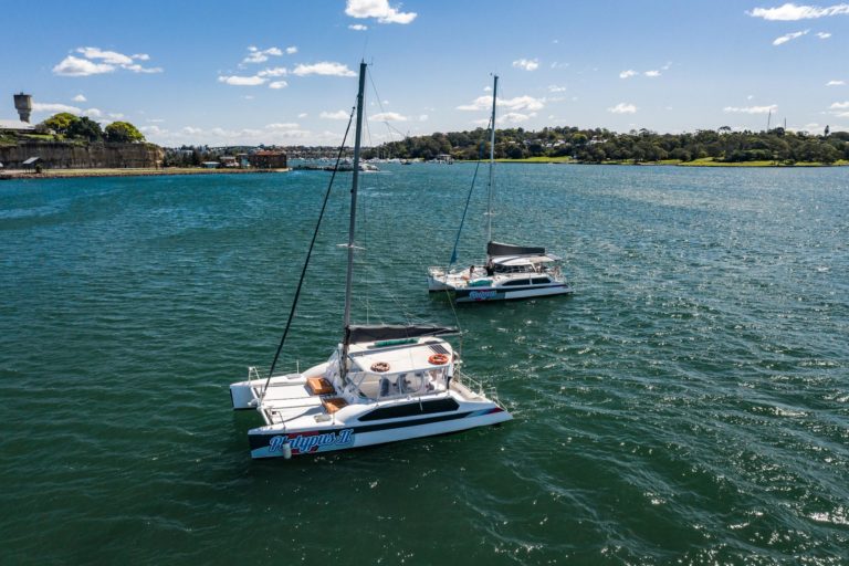 Platypus 2 | Boats | Sydney Boat Hire