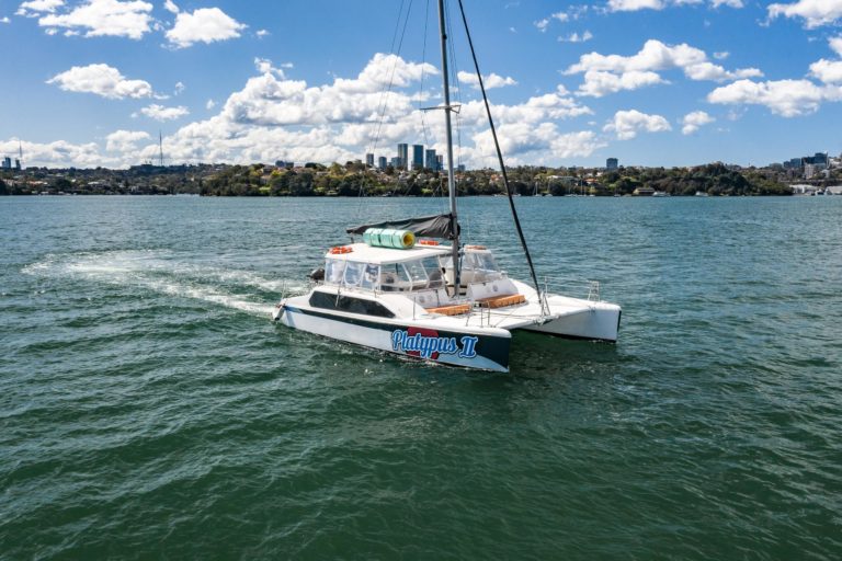 Platypus 2 Boat | Sydney Boat Hire