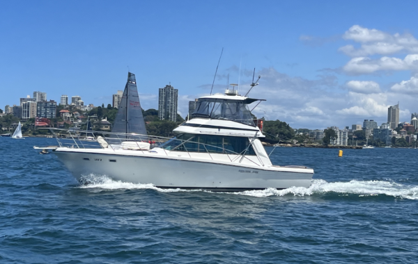 Amber Harbourlife Sydney Boat Hire