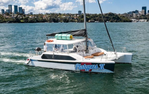 Platypus 2 Harbourlife Sydney Boat Hire