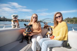 Dogs with life jackets on a boat for all paws on deck