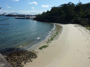 Athol Bay is great for a swim in Sydney Harbour