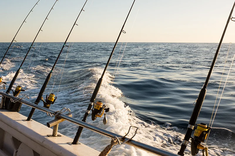 Is It Better To Go Fishing In A Boat? | Sydney Boat Hire